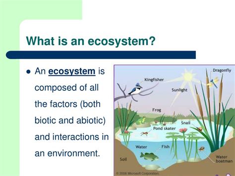 Ppt Introduction To Ecosystems Powerpoint Presentation Free Download Ppt Introduction To Ecosystems Powerpoint Presentation Free Download
